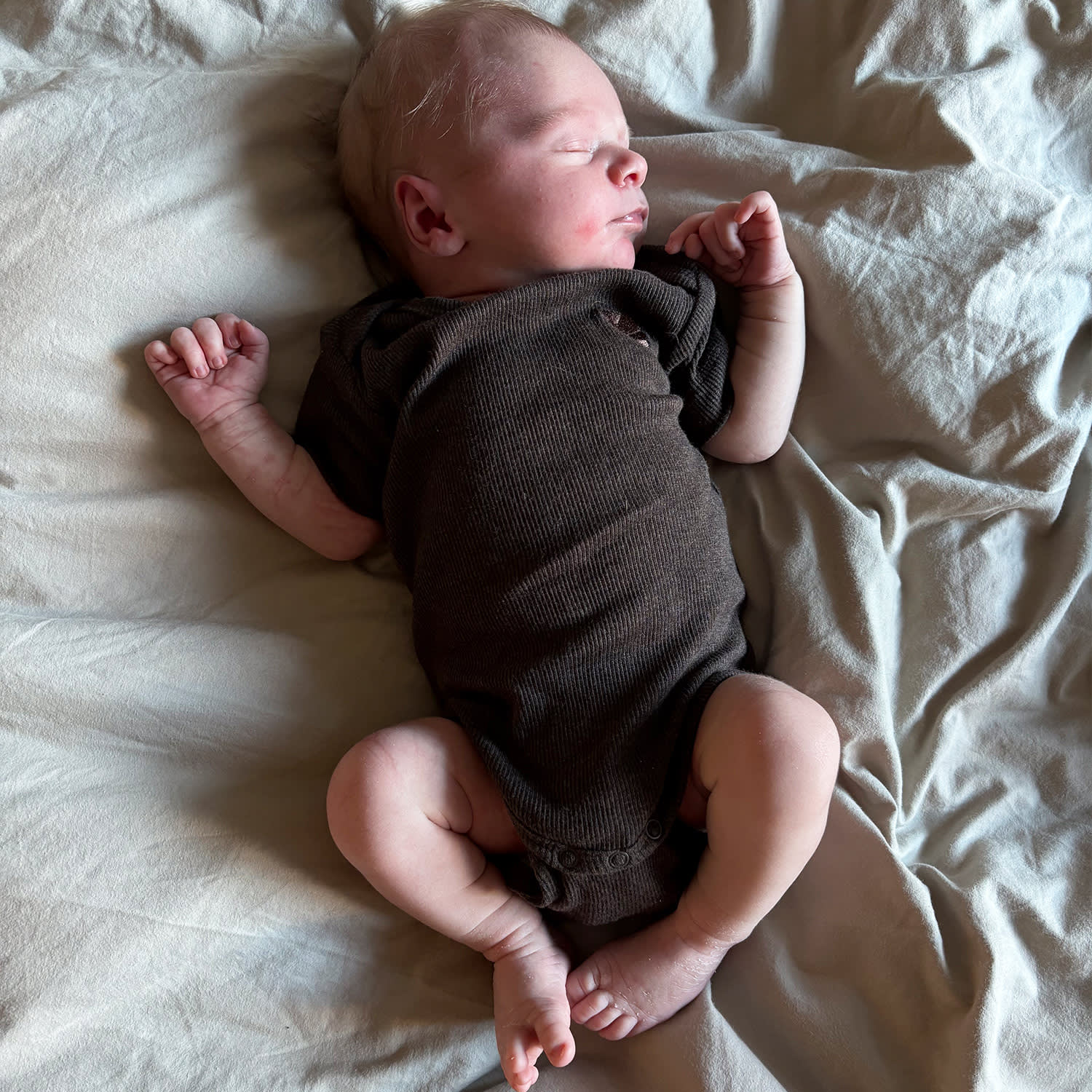 CARLET bodystocking SS - Dark brown melange